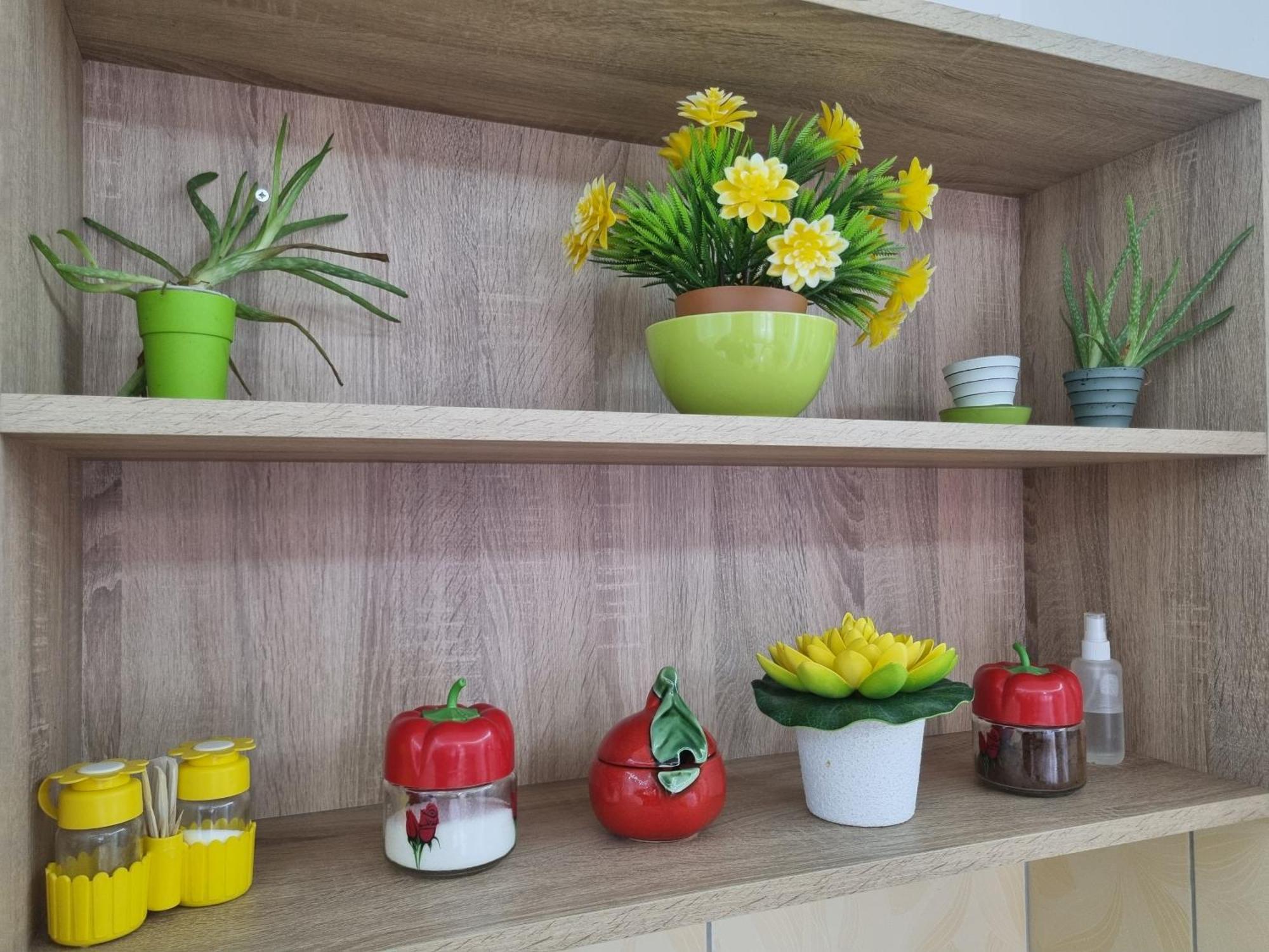 Appartement Zvezda Lux à Kruševac Extérieur photo