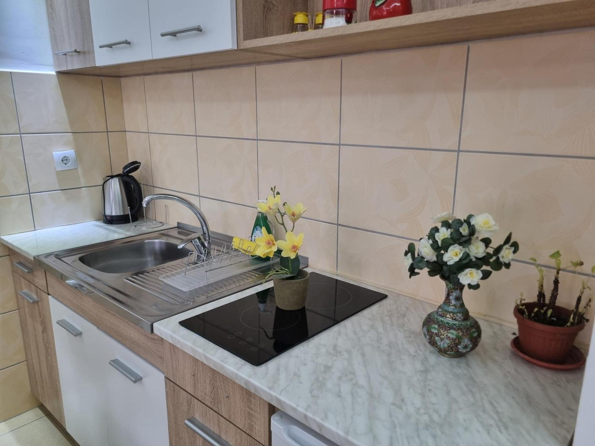 Appartement Zvezda Lux à Kruševac Extérieur photo